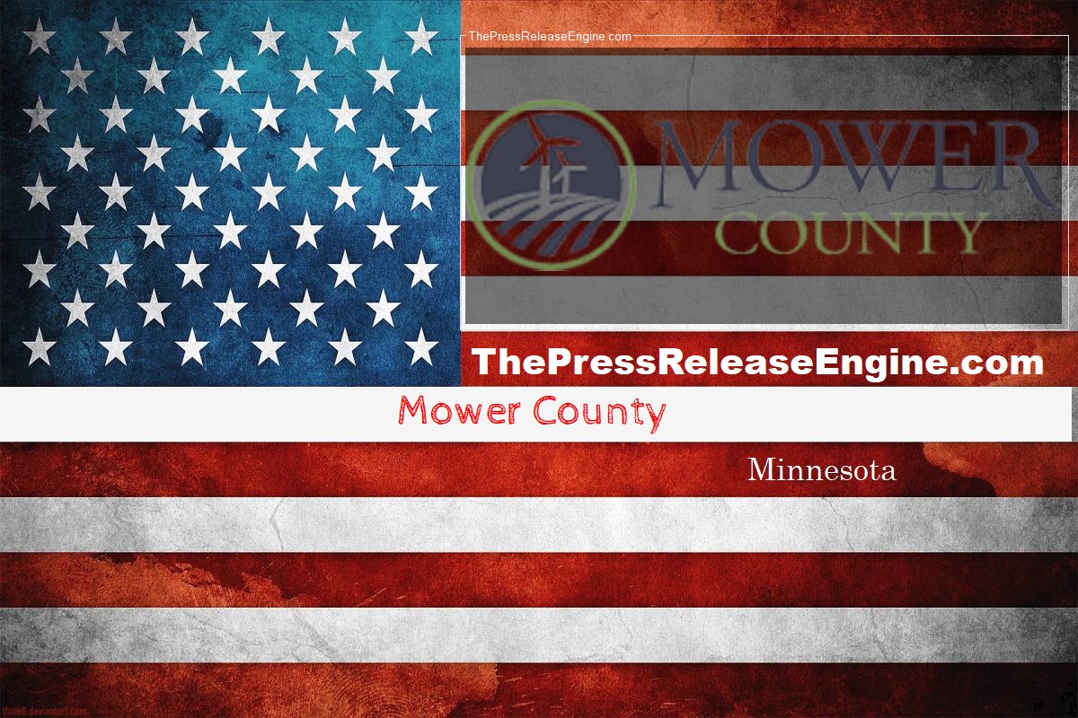 Lead County Attorney ( Mower County ) 